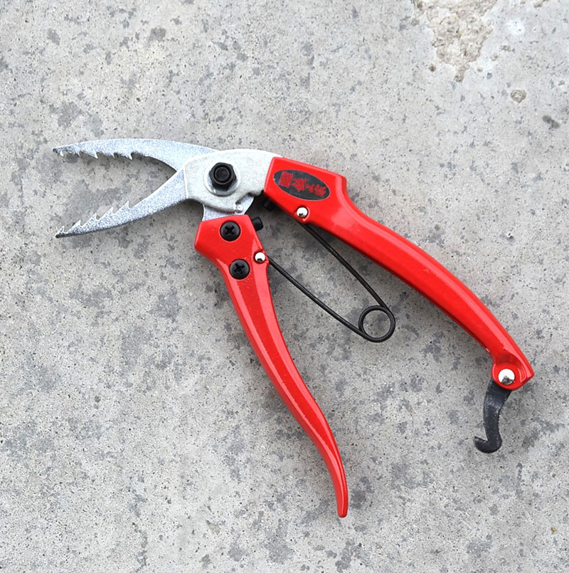 根ひっきー 園芸用品 ガーデニング エクステリア