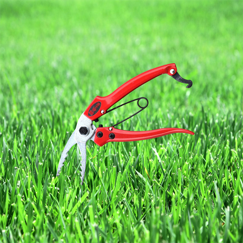 根ひっきー 園芸用品 ガーデニング エクステリア