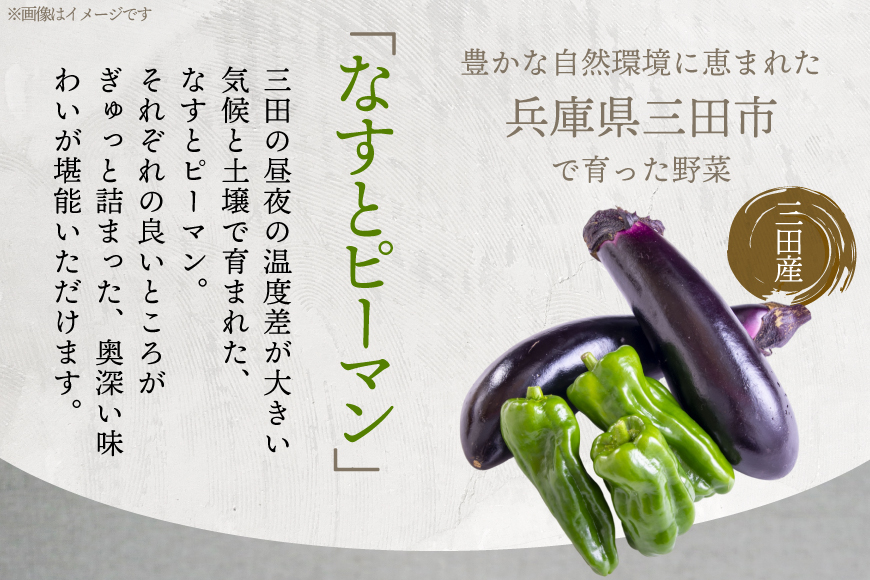 三田で育ったなすとピーマンのビーフシチュー 4食入 [コスモス食品 兵庫県 三田市 3d28bae190061] ビーフシチュー インスタント 常温 シチュー