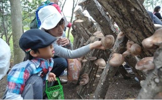 しい茸狩り ペアバーベキュー食事券 ( しい茸狩りと黒毛和牛・若鶏コースペア食事券 黒毛和牛75g・若鶏100ｇコース・焼き野菜・しい茸ご飯食べ放題 ) ふるさと納税 ふるさと 人気 おすすめ 送料無料 兵庫県 三田市 [3d28bae220001]