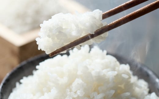 テレビで話題★【令和7年度産】 三田米 コシヒカリ 5kg 米 こめ コメ お米 おこめ オコメ 精米 白米 もちもち つやつや ご飯 ごはん ふるさと納税 ふるさと 人気 おすすめ 送料無料 兵庫県 三田市 [3d28bae660044]