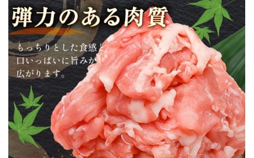 豚肉 バラエティ セット 計1.5kg ロース とんかつ用 豚こま 肩ロース スライス 切り落とし しゃぶしゃぶ [司フーズ・システム 兵庫県 三田市 3d28bdy500014] 豚 肉 とんかつ 小間切れ バラしゃぶ 豚こま肉 豚コマ 小分け 真空パック