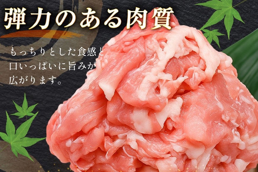 豚肉 バラエティ セット 計1.5kg 12回 定期便 [司フーズ・システム 兵庫県 三田市 3d28bdy500018] 豚 肉 とんかつ 小間切れ バラしゃぶ 豚こま肉 豚コマ 小分け 真空パック