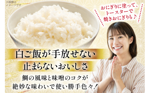 味噌 たい味噌 100g 5パック 計500g [おととごはん味保 兵庫県 三田市 3d28bae140005] みそ 鯛味噌 小分け 個包装 冷蔵 小分け