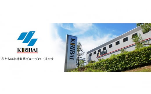 【ふるさと納税】 桐灰カイロ 桐灰はる 1箱 240枚 貼るタイプ 使い捨て カイロ 14間持続 長時間 ホッカイロ 日本製 大容量 雑貨 日用品 防寒 寒さ対策 あったか 足 足裏 首 腰 脇 背中 衣服 服 冷え あたため 通勤 通学 [3d28bae430005]