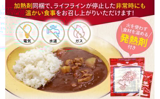 【災害食大賞 2022 セット部門最優秀賞受賞】 災害時 家庭用 備蓄食 セット 12食分 防災食 非常食 保存食 備蓄 災害 安心 安全 準備 防災 防災グッズ 歳暮 ふるさと 人気 おすすめ 送料無料 [3d28bae460004]