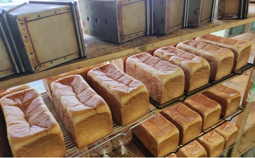 【ふるさと納税】 プレーン食パンご機嫌モーニング 1本 2斤 天才 わっはっは genius? パン ぱん 食パン ブレッド おいしい 朝食 朝ごはん 朝  数量限定 訳あり ふるさと納税 ふるさと 人気 おすすめ 送料無料 兵庫県 三田市 [3d28bae530033]