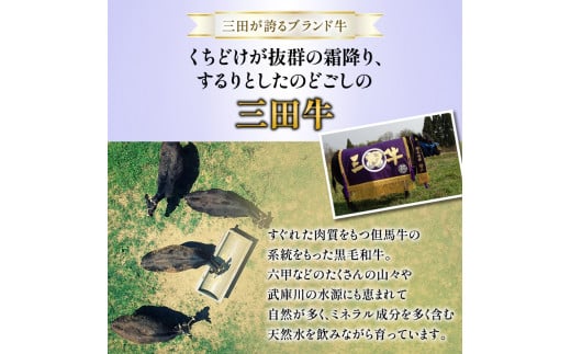 【ふるさと納税】 三田牛 すき焼 550g＆ 塩焼 550g すき焼き しおやき 勢戸 牛肉 ギフト 肉 お祝い 但馬牛 神戸牛 三田牛 数量限定 訳あり ふるさと納税 ふるさと 人気 おすすめ 送料無料 兵庫県 三田市 [3d28bae610005]