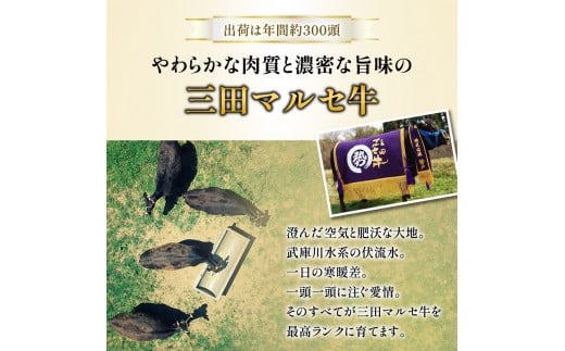 【ふるさと納税】 三田 マルセ牛 しゃぶしゃぶ 500g シャブシャブ マルセ 勢戸牛肉 ギフト 肉 お祝い 但馬牛 神戸牛 三田牛 数量限定 訳あり ふるさと納税 ふるさと 人気 おすすめ 送料無料 兵庫県 三田市 [3d28bae610033]