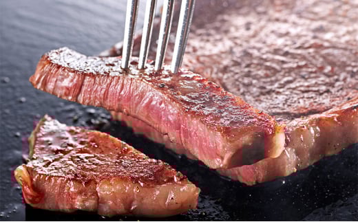 【ふるさと納税】 三田 マルセ牛 定期便 ( 年6回コース ) 勢戸 牛肉 ギフト 肉 お祝い 但馬牛 神戸牛 三田牛 数量限定 訳あり ふるさと納税 ふるさと 人気 おすすめ 送料無料 兵庫県 三田市 [3d28bae610026]