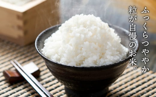 テレビで話題★【令和7年度産】 三田米 コシヒカリ 5kg 米 こめ コメ お米 おこめ オコメ 精米 白米 もちもち つやつや ご飯 ごはん ふるさと納税 ふるさと 人気 おすすめ 送料無料 兵庫県 三田市 [3d28bae660044]