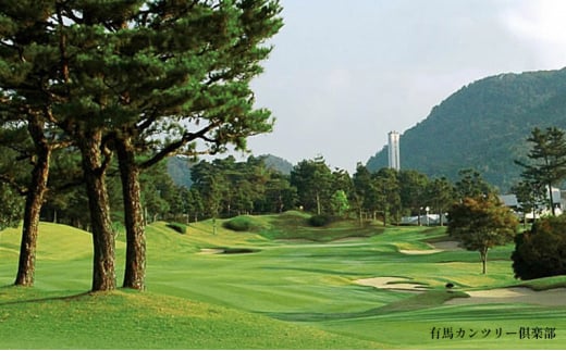 【ふるさと納税】ゴルフプレー券 三田市内ゴルフ場 ゴルフ利用券 セルフプレー(昼食付) 全日1組 土日祝 ギフト お祝い 贈答品 中元 歳暮 数量限定 期間限定 人気 ふるさと納税 ふるさと 人気 おすすめ 送料無料 兵庫県 三田市 [3d28bae670000]