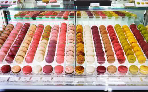 【ふるさと納税】 マカロンギフト スペシャリティセレクション お菓子 詰合せ スイーツ エスコヤマ コヤマ スイーツ パティシエエスコヤマ ギフト お祝い 贈答品 中元 歳暮 ふるさと納税 ふるさと 人気 おすすめ 送料無料 兵庫県 三田市 [3d28bai150003]