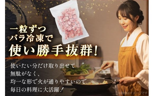 豚肉 豚こまキューブ 1kg 豚こま 豚こま肉 豚 こま切れ [司フーズ・システム 兵庫県 三田市 3d28bdy500000] ぶた ぶたこま 細切れ 豚キューブ 精肉 冷凍 お弁当 おかず