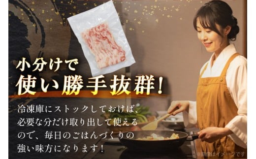 豚肉 バラエティ セット 計1.5kg ロース とんかつ用 豚こま 肩ロース スライス 切り落とし しゃぶしゃぶ [司フーズ・システム 兵庫県 三田市 3d28bdy500014] 豚 肉 とんかつ 小間切れ バラしゃぶ 豚こま肉 豚コマ 小分け 真空パック