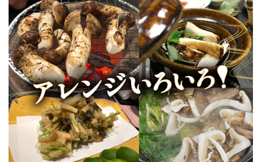 【ふるさと納税】 三田栗 2L (1kg) 三田 松茸 (等級混合約200g) の詰め合わせ 栗 まつたけ 秋の味覚 きのこ キノコ 旬の野菜 贈答品 贈り物 ギフト 食品 ギフト ふるさと納税 ふるさと 人気 おすすめ 送料無料 兵庫県 三田市 [3d28bae460003]