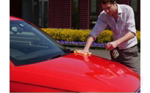 【ふるさと納税】アイアンターミネーター+ラグジュアリーグロスセット ( アイアンターミネーター(スポンジ、ゴム手袋付)500ml スプレータイプ / グロス500ml スプレータイプ / 工場見学ツアー券1枚 ) 送料無料 兵庫県 三田市 [3d28bae550003]