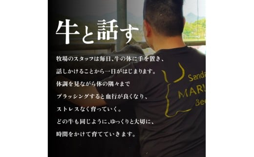 【ふるさと納税】 三田 マルセ牛 焼肉 1kg 焼き肉 やきにく 焼肉 焼肉パーティ 勢戸 牛肉 ギフト 肉 お祝い 但馬牛 神戸牛 三田牛 数量限定 訳あり ふるさと納税 ふるさと 人気 おすすめ 送料無料 兵庫県 三田市 [3d28bae610037]