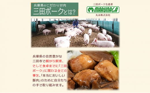 【ふるさと納税】 三田ポークの魯肉飯 ( ルーローハン 台湾料理の丼 ご飯の素 うずら卵入り 160g 10食セット )健康志向 常温長期保存 保存食 防災 災害備蓄 数量限定 訳あり ふるさと納税 ふるさと 人気 おすすめ 送料無料 兵庫県 三田市 [3d28bae630003]