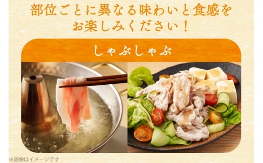 豚肉 バラエティ セット 計1.5kg ロース とんかつ用 豚こま 肩ロース スライス 切り落とし しゃぶしゃぶ [司フーズ・システム 兵庫県 三田市 3d28bdy500014] 豚 肉 とんかつ 小間切れ バラしゃぶ 豚こま肉 豚コマ 小分け 真空パック
