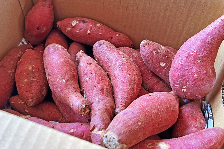 さつまいも 紅はるか 5kg 【2025年11月前半～2026年3月後半配送】 [SSSファーム 兵庫県 三田市 3d28bed520000] 芋 さつま芋 べにはるか お芋 5キロ
