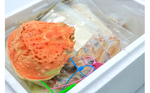 かに 松葉蟹 むき身 カニ鍋 セット 松葉蟹1kg 鍋セット 三田野菜 2025年11月後半～2026年2月後半 [おととごはん味保 兵庫県 三田市 3d28bae140006] カニ 蟹 甲羅 むき身 ボイル 野菜 詰め合わせ 個包装 鍋 かに鍋 冷凍