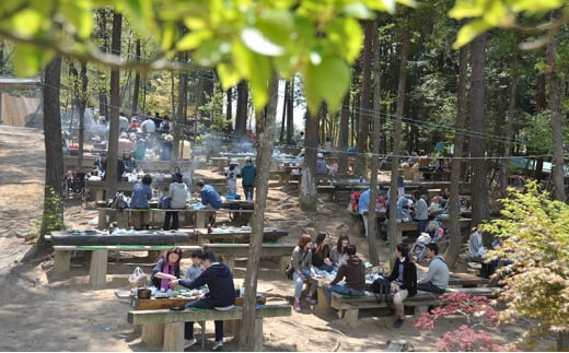 しい茸狩り ペアバーベキュー食事券 ( しい茸狩りと黒毛和牛・若鶏コースペア食事券 黒毛和牛75g・若鶏100ｇコース・焼き野菜・しい茸ご飯食べ放題 ) ふるさと納税 ふるさと 人気 おすすめ 送料無料 兵庫県 三田市 [3d28bae220001]