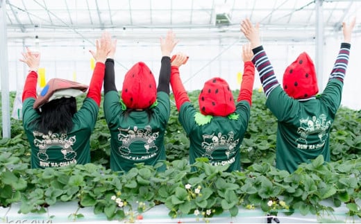 【ふるさと納税】 無添加 手作り いちご ジャム 3個 イチゴジャム イチゴ 苺 甘い 食品 ギフト  ふるさと納税 ふるさと 人気 おすすめ 送料無料 兵庫県 三田市 [3d28bae310007]