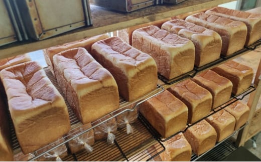 【ふるさと納税】 プレーン食パン10本セット (ご機嫌モーニング) パン ぱん 食パン ブレッド おいしい プレーン 朝食 朝ごはん 朝  数量限定 訳あり ふるさと納税 ふるさと 人気 おすすめ 送料無料 兵庫県 三田市 [3d28bae530003]