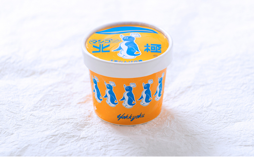 【ふるさと納税】北極アイスバラエティセット (ミルク・あずき・ココア・パイン・抹茶・オレンジ 各70ｍｌX6本 / カップアイスミルク(120ｍｌ)マンゴー(110ｍｌ)日向夏(110ｍｌ)ミックスジュース(110ｍｌ)各1個 ) [3d28bae540016]