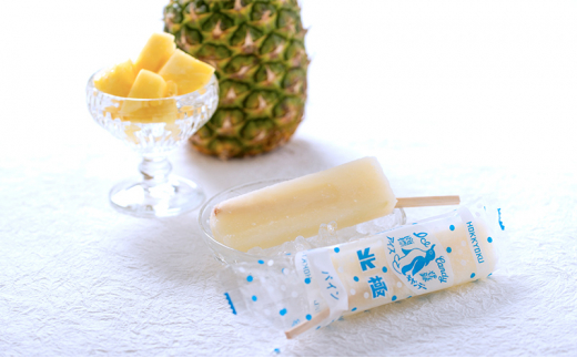 【ふるさと納税】 北極アイス おためし30本セット ( ミルク / あずき / ココア / パイン / 抹茶 / オレンジ / ミックスジュース / レモン) アイスキャンデー アイスバー フルーツアイス 果物 スイーツ 氷菓 菓子 アソート 詰め合わせ 人気 [3d28bae540019]