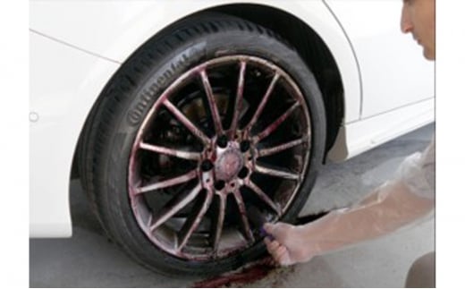 【ふるさと納税】アイアンターミネーター+ラグジュアリーグロスセット ( アイアンターミネーター(スポンジ、ゴム手袋付)500ml スプレータイプ / グロス500ml スプレータイプ / 工場見学ツアー券1枚 ) 送料無料 兵庫県 三田市 [3d28bae550003]