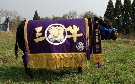 【ふるさと納税】 三田牛 厚切り ロースステーキ 約270ｇ×3枚 & すき焼 550ｇ 勢戸 ステーキ 牛肉 ギフト 肉 お祝い 但馬牛 神戸牛 三田牛 数量限定 訳あり ふるさと納税 ふるさと 人気 おすすめ 送料無料 兵庫県 三田市 [3d28bae610006]