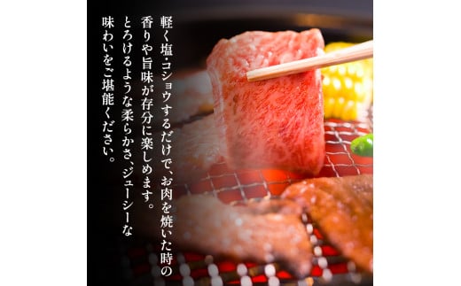 【ふるさと納税】 三田 マルセ牛 焼肉 1kg 焼き肉 やきにく 焼肉 焼肉パーティ 勢戸 牛肉 ギフト 肉 お祝い 但馬牛 神戸牛 三田牛 数量限定 訳あり ふるさと納税 ふるさと 人気 おすすめ 送料無料 兵庫県 三田市 [3d28bae610037]
