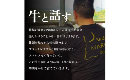 【ふるさと納税】 三田 マルセ牛 特選 すき焼 １kg ＆ 特選 焼肉 １kg すきやき やきにく 勢戸 牛肉 ギフト 肉 お祝い 但馬牛 神戸牛 三田牛 数量限定 訳あり ふるさと納税 ふるさと 人気 おすすめ 送料無料 兵庫県 三田市 [3d28bae610014]