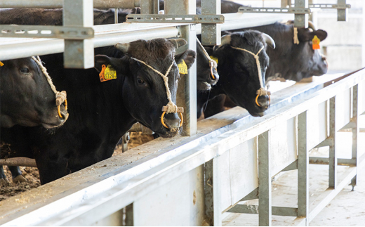 【ふるさと納税】 三田 マルセ牛 肉巻き おにぎり ４個  加工食品 惣菜 冷凍 勢戸 牛肉 ギフト 肉 お祝い 但馬牛 神戸牛 三田牛 数量限定 訳あり ふるさと納税 ふるさと 人気 おすすめ 送料無料 兵庫県 三田市 [3d28bae610020]