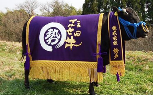 【ふるさと納税】 三田 マルセ牛 定期便 ( 年6回コース ) 勢戸 牛肉 ギフト 肉 お祝い 但馬牛 神戸牛 三田牛 数量限定 訳あり ふるさと納税 ふるさと 人気 おすすめ 送料無料 兵庫県 三田市 [3d28bae610026]