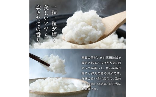 テレビで話題★【定期便】【令和7年度産】 三田米 コシヒカリ 5kg 12か月連続 こめ コメ 米 おこめ オコメ お米 白米 こしひかり 数量限定 定期 ふるさと納税 ふるさと 人気 おすすめ 送料無料 兵庫県 三田市 [3d28bae660046]