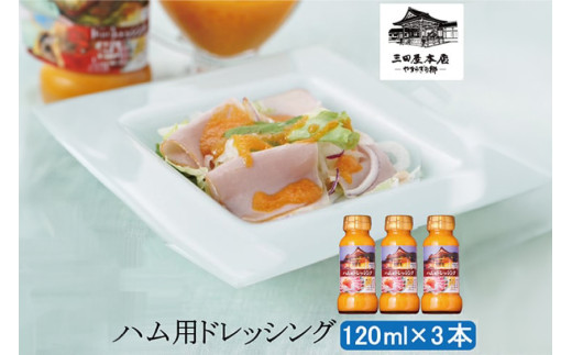 三田屋本店　ハム用ドレッシングセット SN-2 ギフト 肉 お祝い 加工品 ドレッシング ハム はむ [3d28bae270010]