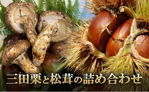 【ふるさと納税】 三田栗 2L (1kg) 三田 松茸 (等級混合約200g) の詰め合わせ 栗 まつたけ 秋の味覚 きのこ キノコ 旬の野菜 贈答品 贈り物 ギフト 食品 ギフト ふるさと納税 ふるさと 人気 おすすめ 送料無料 兵庫県 三田市 [3d28bae460003]