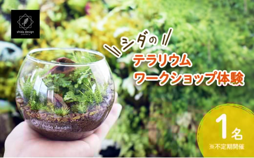 【ふるさと納税】 シダのテラリウムワークショップ体験チケット (1名様分) シダ テラリウム 植物 育成 作成 ギフト 人気 ふるさと納税 ふるさと おすすめ 送料無料 兵庫県 三田市 [3d28bae520000]