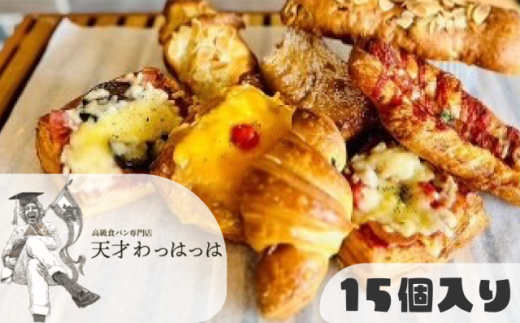 パン 備蓄 保存パン おまかせ色々小物パン15個セット(冷凍) 冷凍パン フランス産 バター デニッシュ クロワッサン [3d28bae530001]