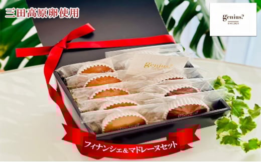 【ふるさと納税】 焼き菓子 フィナンシェ ＆ マドレーヌセット ( 三田高原卵使用 フィナンシェ5個 マドレーヌ5個 ) 洋菓子 焼き菓子 ヘルシー スイーツ ギフト 贈答 お菓子 おやつ 数量限定 訳あり 送料無料 兵庫県 三田市 [3d28bae530011]