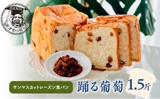 【ふるさと納税】 踊る葡萄 サンマスカット レーズン 1.5斤 パン ぱん 食パン ブレッド おいしい 朝食 朝ごはん 朝  数量限定 訳あり ふるさと納税 ふるさと 人気 おすすめ 送料無料 兵庫県 三田市 [3d28bae530012]