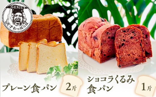 【ふるさと納税】 プレーン 食パン 2斤 ＆ ショコラ くるみ 食パン 1斤 パン ぱん 食パン ブレッド おいしい 朝食 朝ごはん 朝  数量限定 訳あり ふるさと納税 ふるさと 人気 おすすめ 送料無料 兵庫県 三田市 [3d28bae530022]