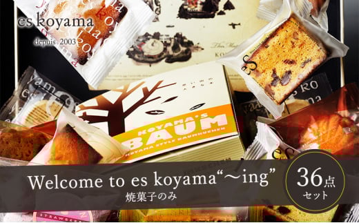 【ふるさと納税】 Welcome to es koyama“～ing” ( 焼き菓子のみ サブレ×18枚 / 焼き菓子×18個 ) エスコヤマ コヤマ 焼き菓子 お祝い 贈答品 中元 歳暮 数量限定 期間限定 人気 おすすめ 送料無料 兵庫県 三田市 [3d28bai150007]