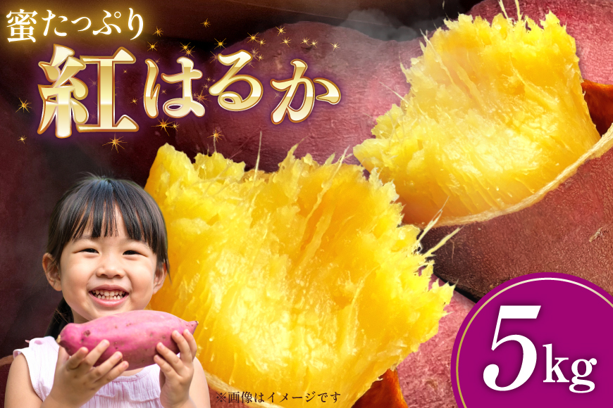 さつまいも 紅はるか 5kg 【2025年11月前半～2026年3月後半配送】 [SSSファーム 兵庫県 三田市 3d28bed520000] 芋 さつま芋 べにはるか お芋 5キロ