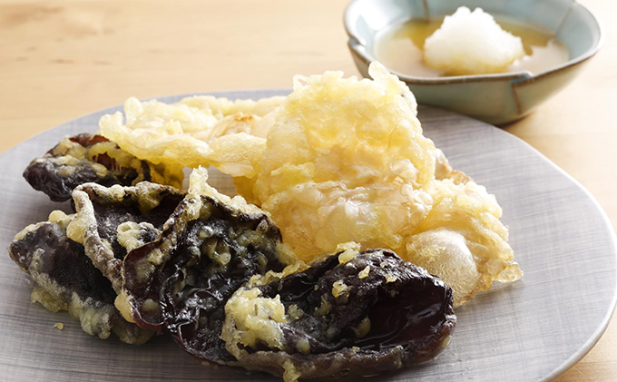 兵庫県加西市産　安全安心/根日女きくらげ詰合せ 野菜 き