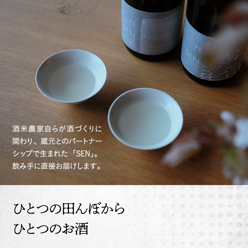 日本酒 SEN 純米大吟醸生酒 + 生もと生酒 飲み比べ セット ten