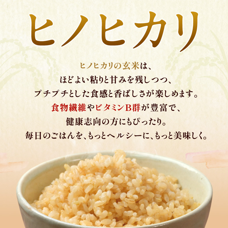 米 【令和7年産】神大のおこめ（特別栽培米ヒノヒカリ）玄